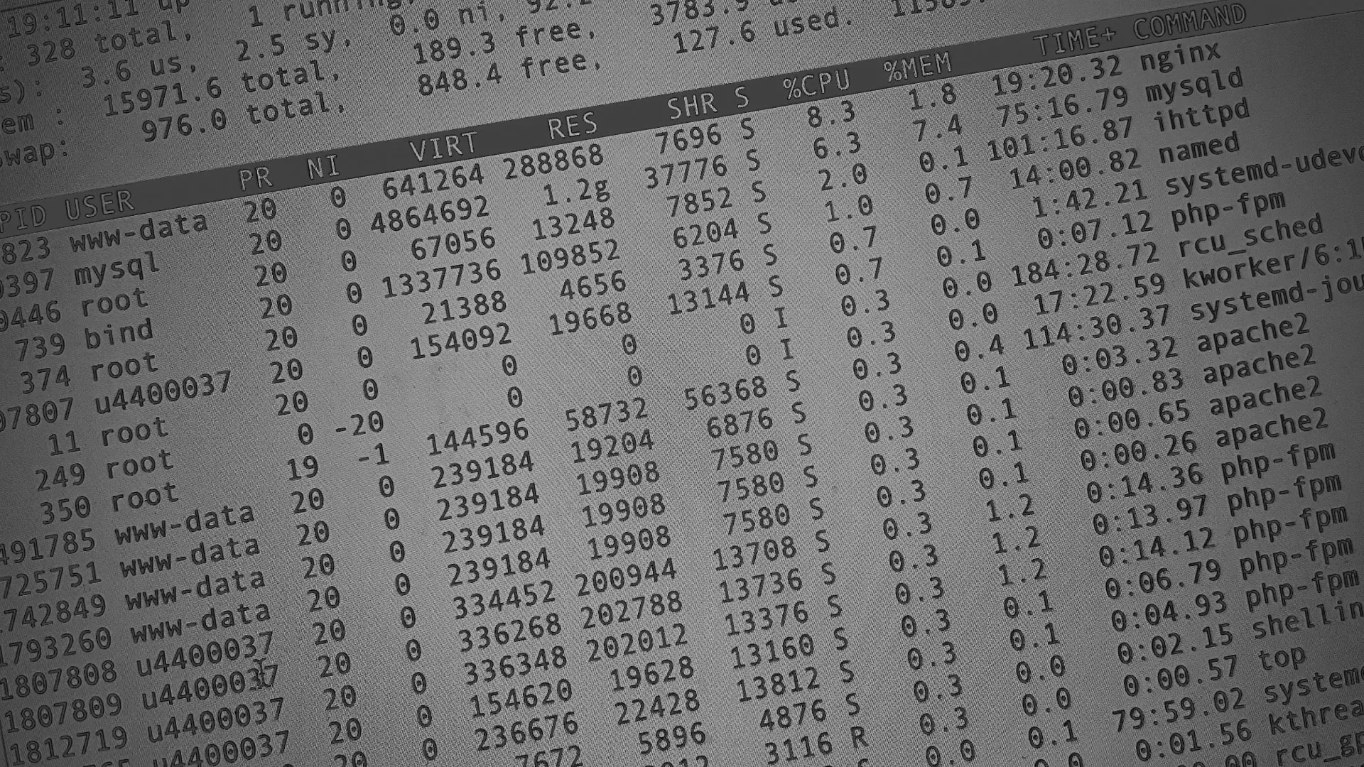 Настройка сервера в Весьегонске