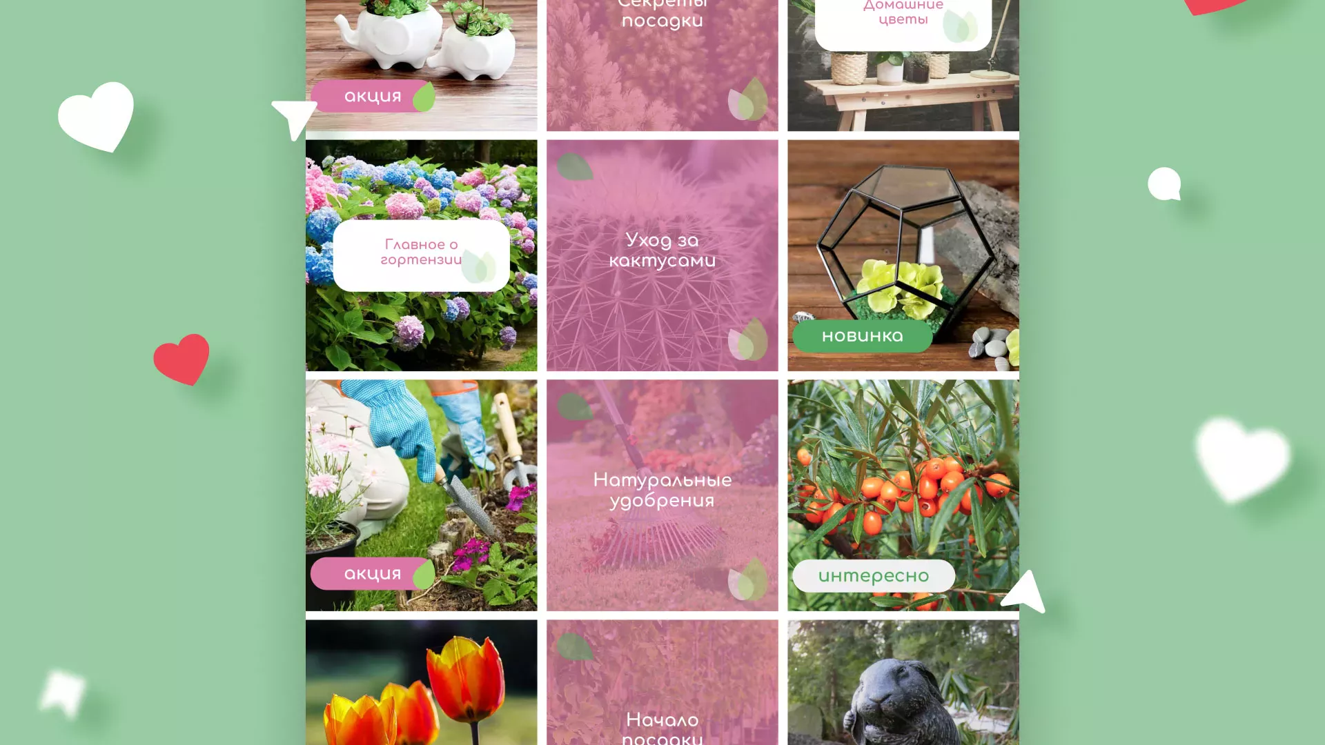 Разработка оформления профиля Instagram для магазина «Floraint» в Весьегонске