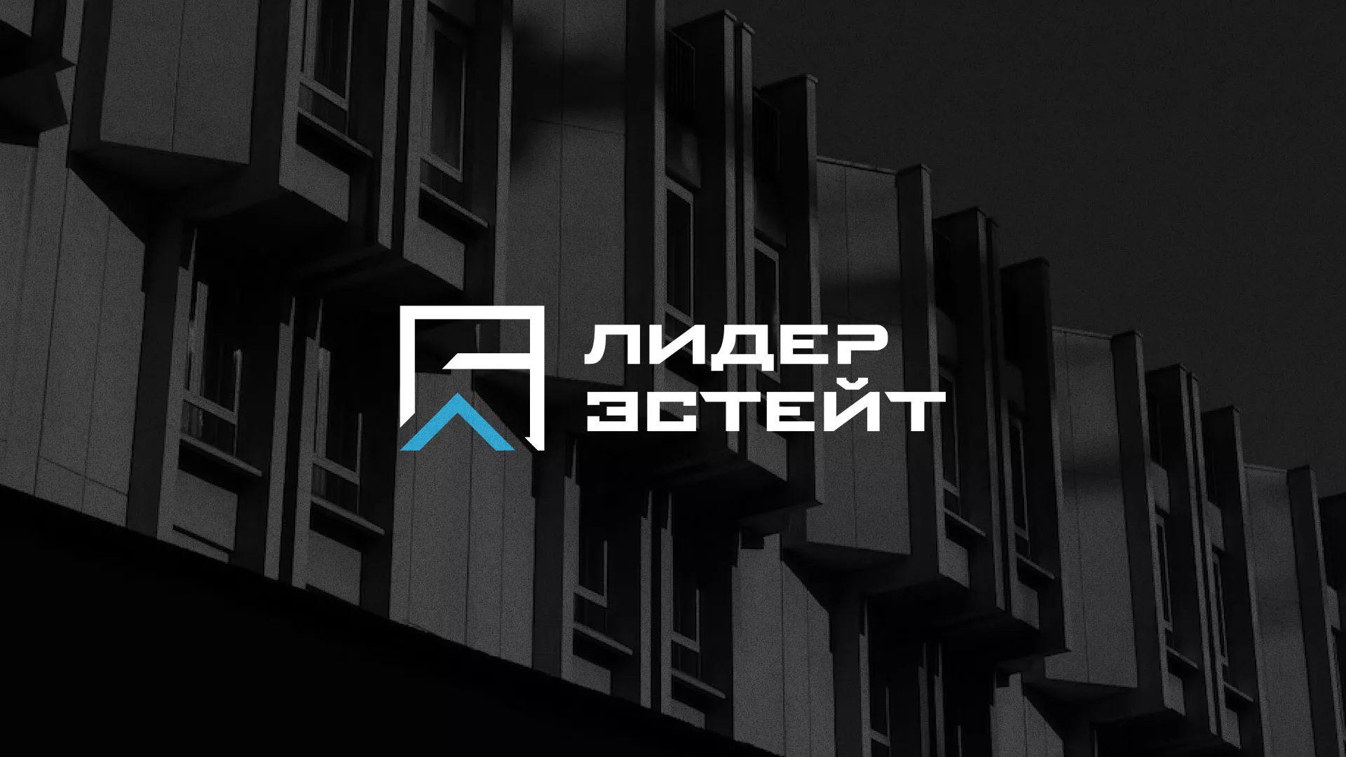 Разработка логотипа агентства недвижимости «Лидер Эстейт» в Весьегонске