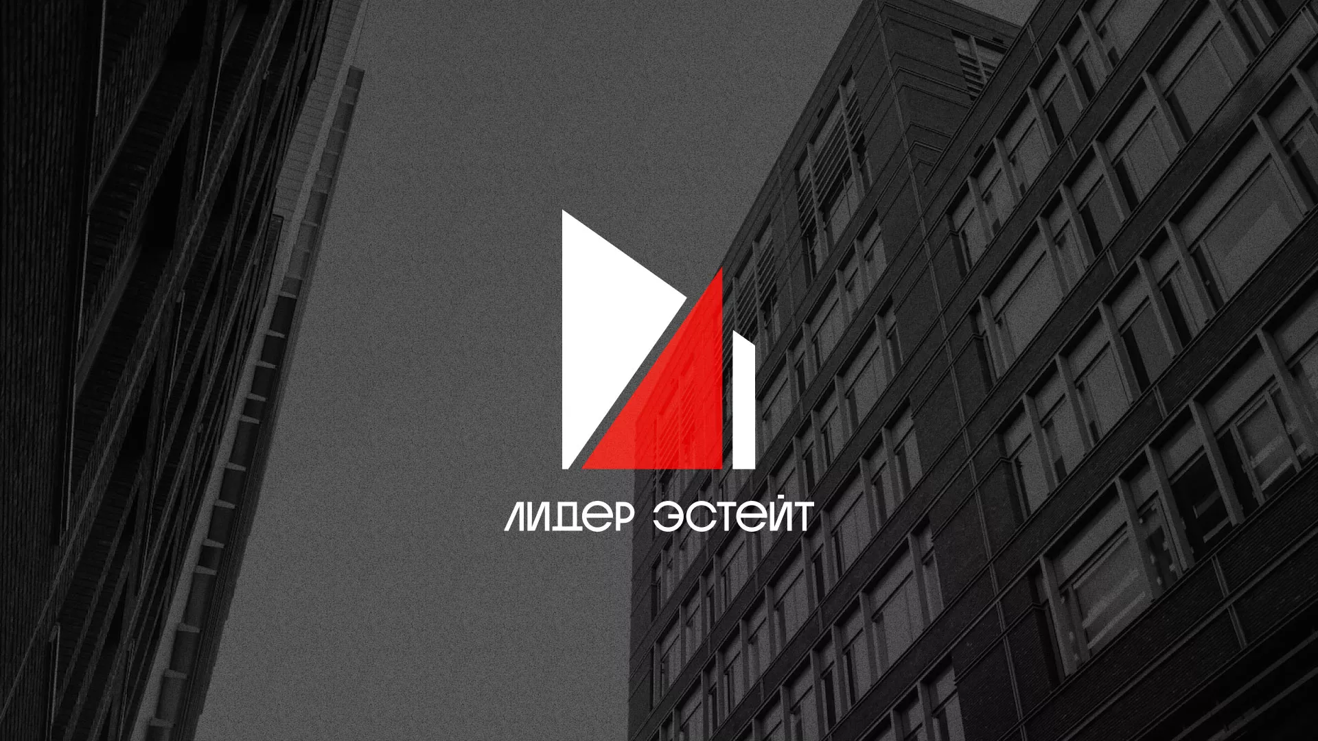 Сделали логотип для агентства недвижимости «Лидер Эстейт» в Весьегонске